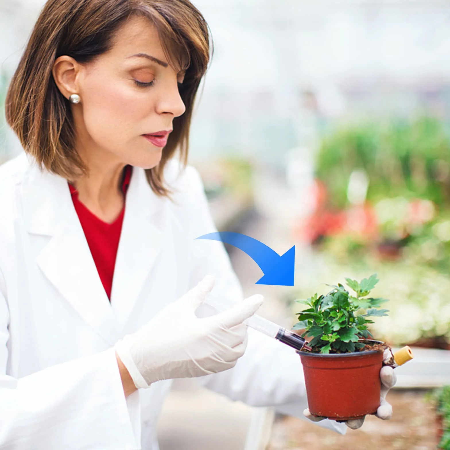 Strzykawki z tworzywa sztucznego, 6 sztuk, 20 ml, strzykawki z tworzywa sztucznego, pojedynczo zapakowane, sterylne strzykawki do laboratoriów naukowych, małych zwierząt domowych, do karmienia