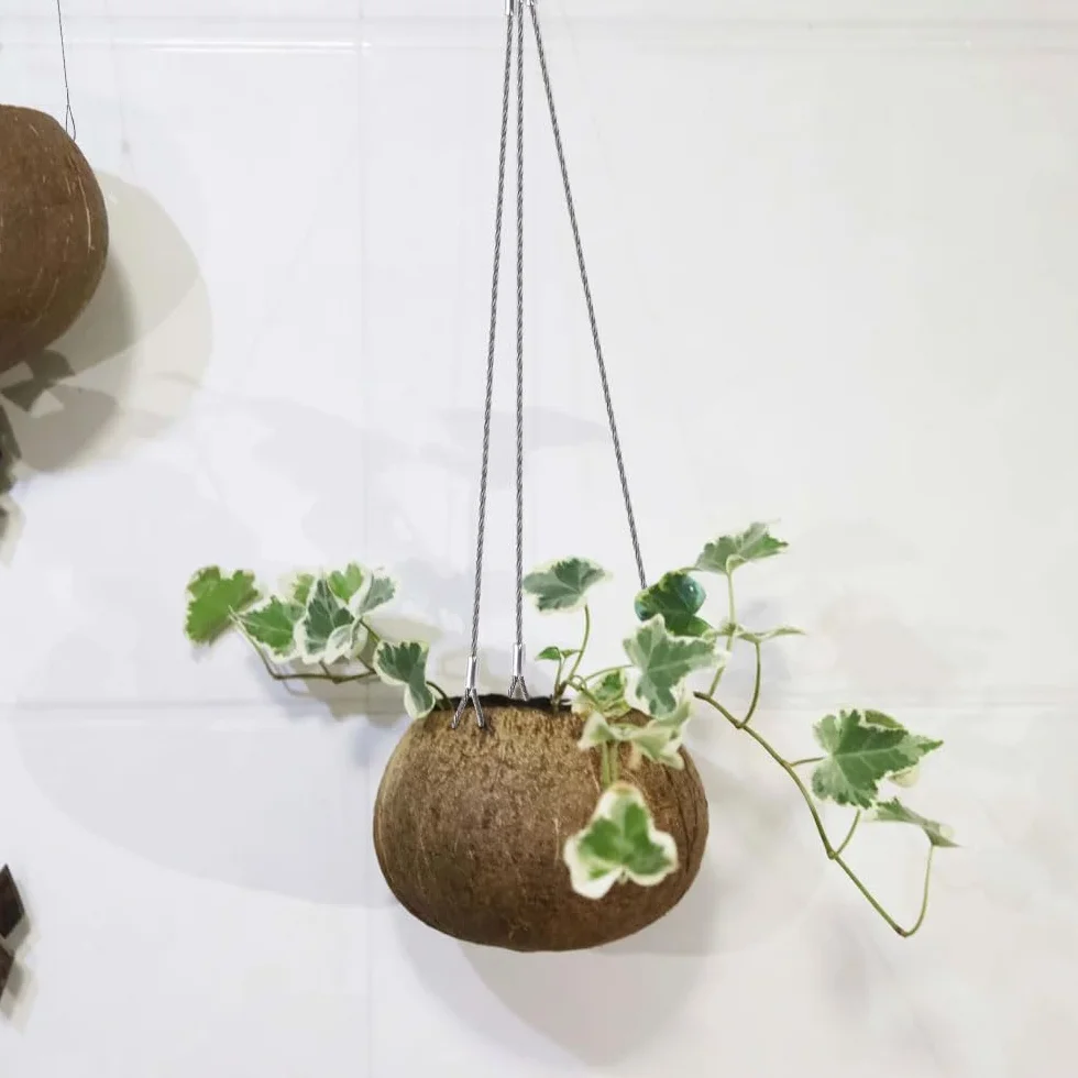 Linka stalowa z oczkami 50 cm x 2 mm stal szlachetna z karabińczykiem do zamków