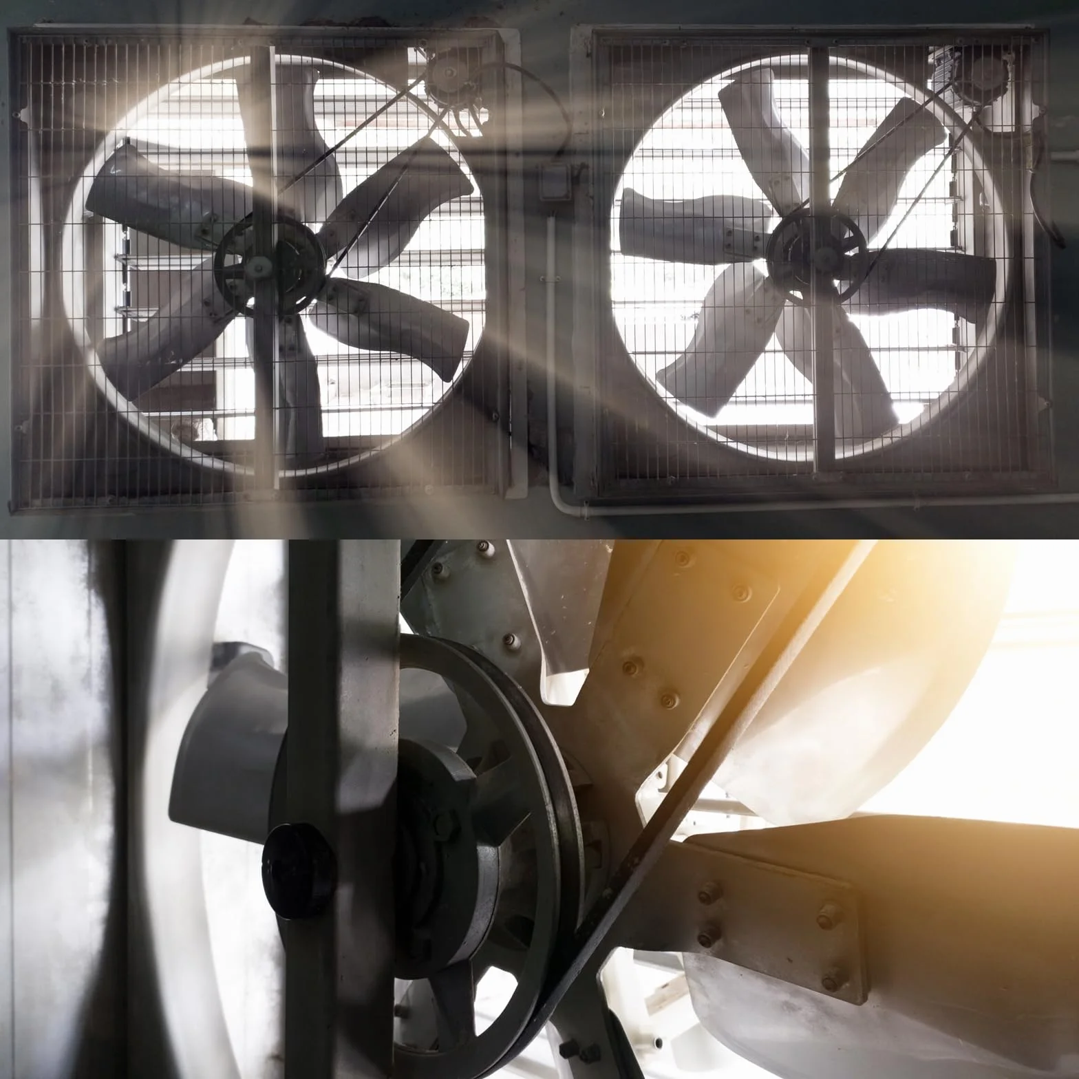 QUARKZMAN O-660 pasek V 660mm gumowy pasek napędowy