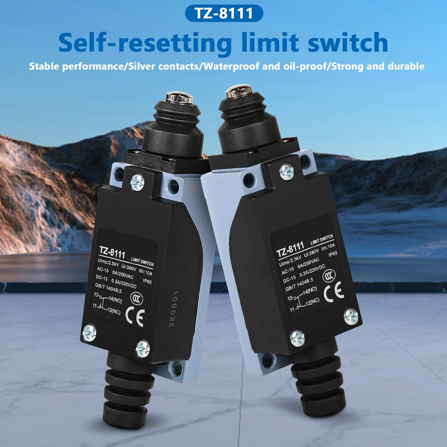 DEWIN TZ-8111 wyłącznik krańcowy samonastawny AC250V 6A