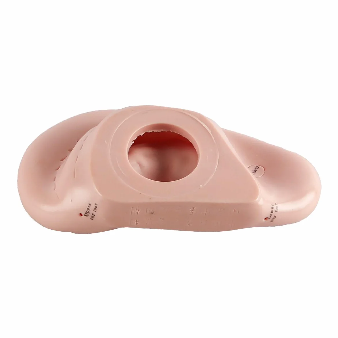 17 cm Model do wyświetlania punktów akupunkturowych ucha z miękkiego PVC do nauki anatomii ucha i użytku laboratoryjnego