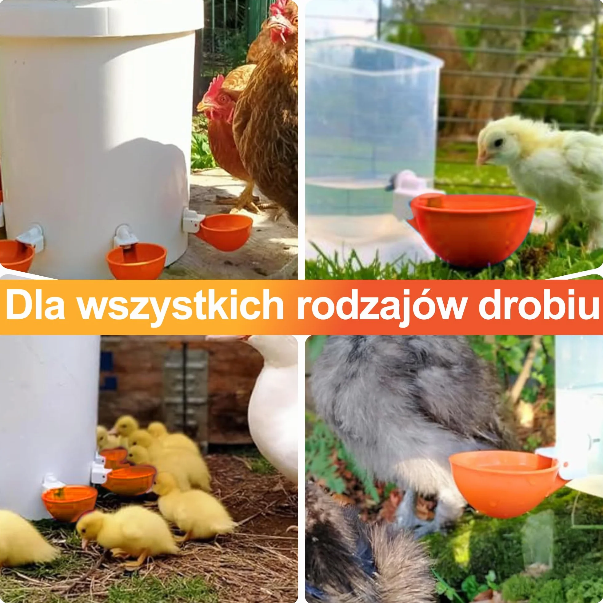 Zestaw poidła dla kurcząt 6 sztuk automatyczny