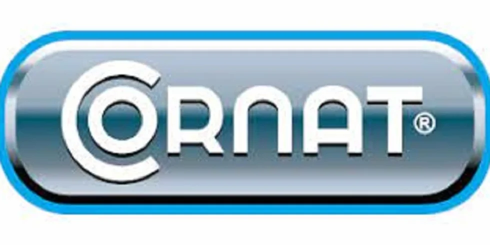 CORNAT VZS5301260 Rura gwintowana ocynkowana 1/2 x 600 mm, szara, 1/2 cala