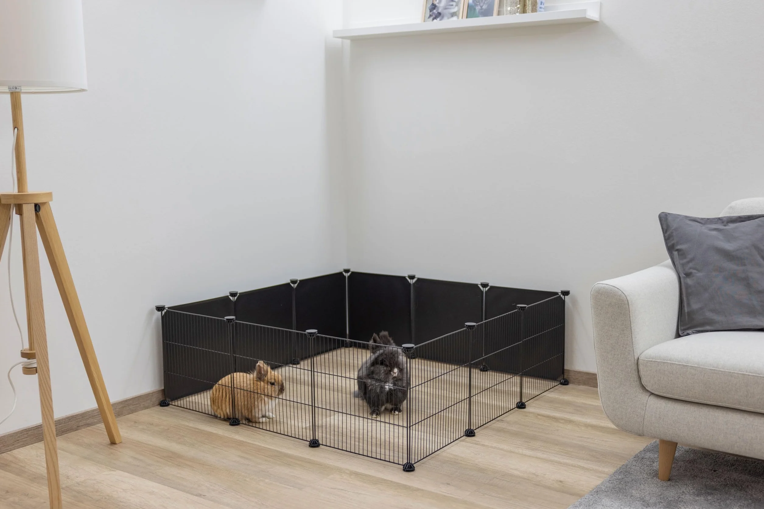 Kerbl Pet zestaw ścienny 6 elementów 35x35 cm z tworzywa sztucznego