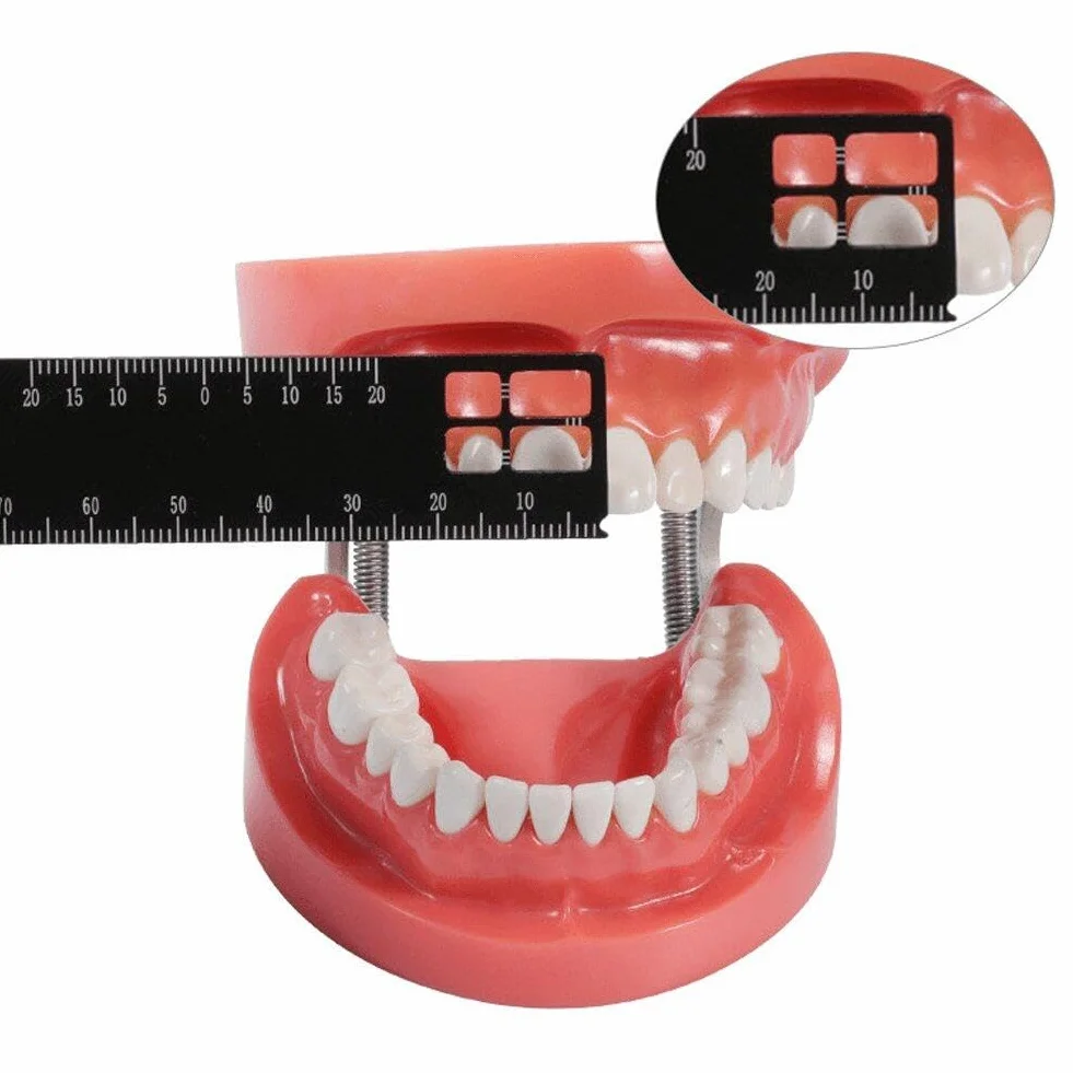 Endodontic Span Measure Scale Dwustronna linijka pomiarowa Narzędzie dentystyczne