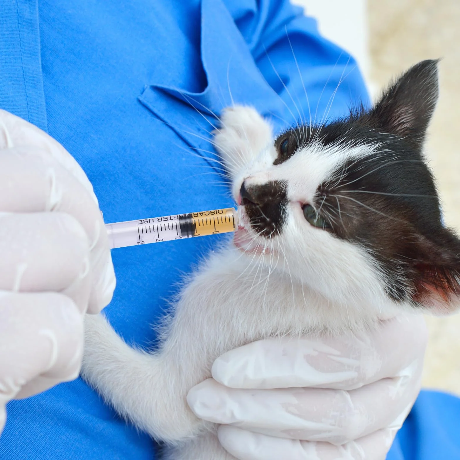50 szt. strzykawek, strzykawka o pojemności 3 ml, jednorazowa strzykawka bez igły, strzykawka do siary, strzykawka dozująca, strzykawka z miarką do laboratoriów naukowych, do nalewania, napełniania