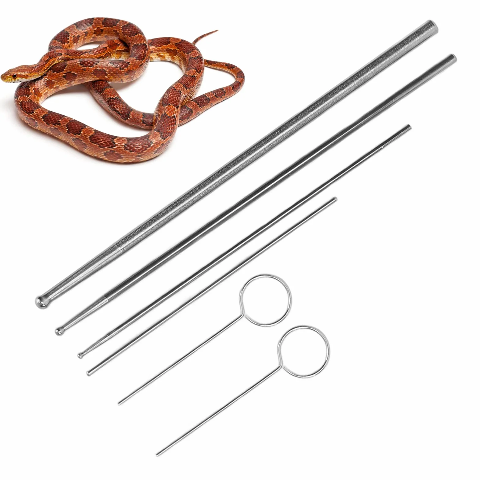 Sonda Stalowa Okrągła Alergia Gady Wąż Seksing Kit Reptiles