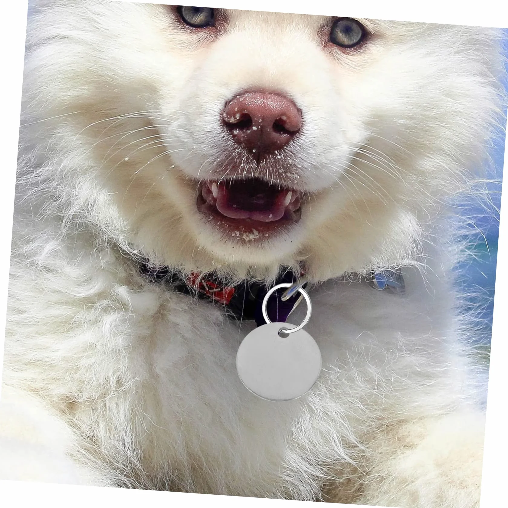 VANZACK 10kawałki Sztuk Okrągłych Stemplowanych Metalowych Zawieszek Dla Zwierząt z Otworem Stal Nierdzewna Pusty Tag Do Grawerowania Identyfikator Dla Pupila Zawieszki