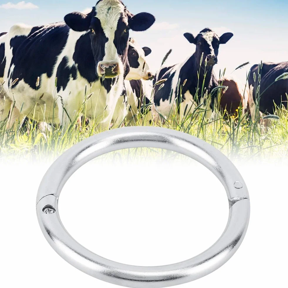 Bydło w nosie kolczyk ze stali nierdzewnej kolczyk w nosie byka akcesoria hodowlane bydło szczypce do nosa Hoop Piercing Rings(M)