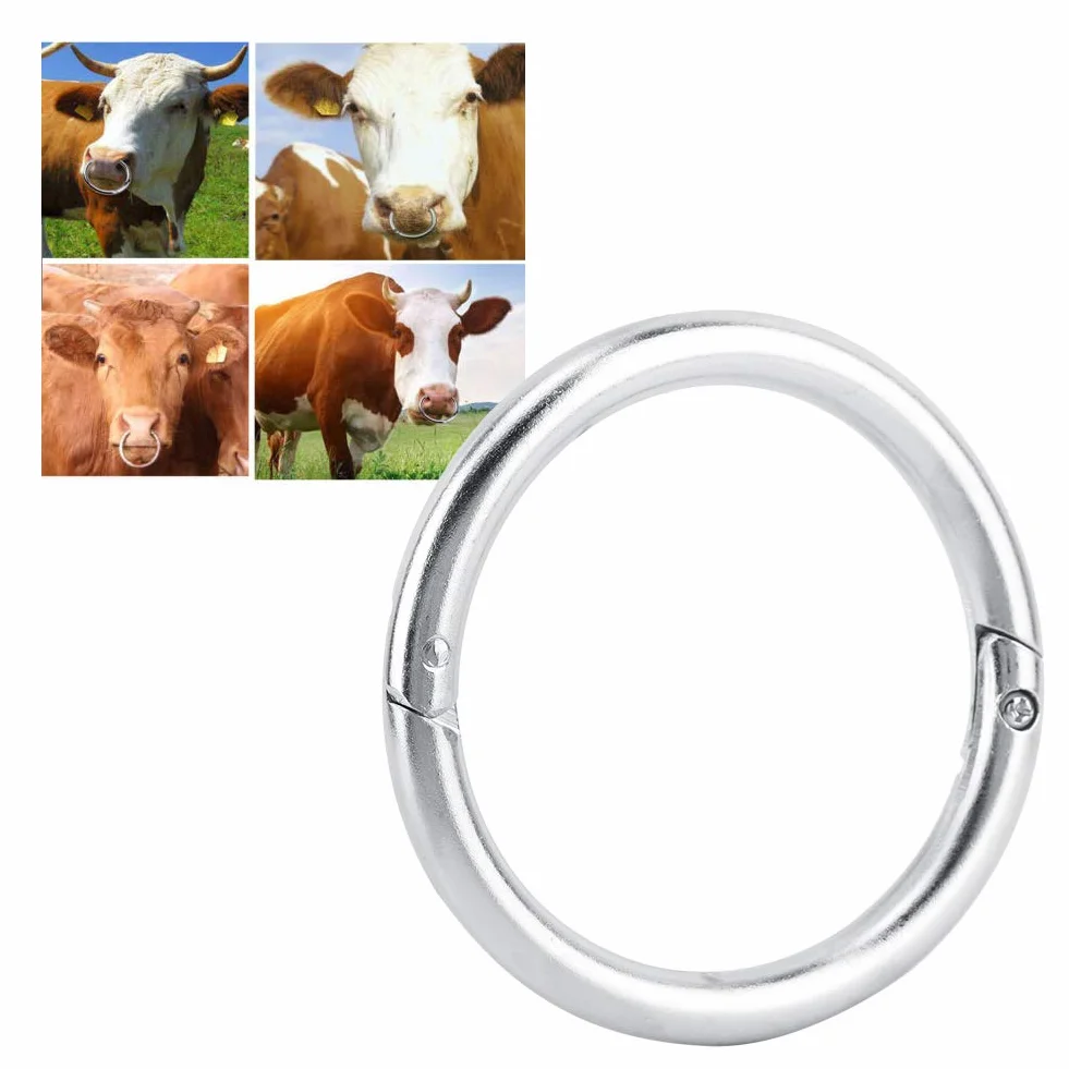 Bydło w nosie kolczyk ze stali nierdzewnej kolczyk w nosie byka akcesoria hodowlane bydło szczypce do nosa Hoop Piercing Rings(M)